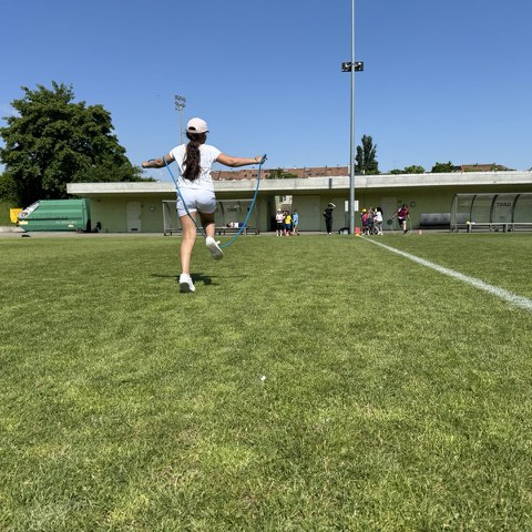 10 Springseil. Vergrösserte Ansicht