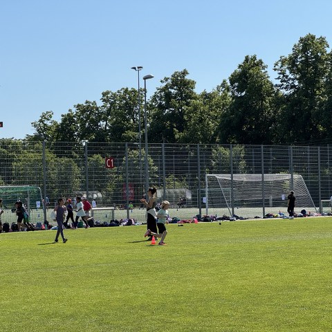 15 Ausdauerlauf. Vergrösserte Ansicht