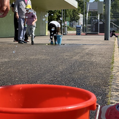 16 Schwamm. Vergrösserte Ansicht