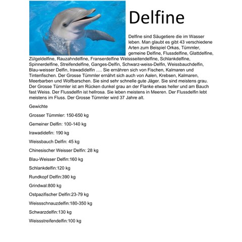 Delfine. Vergrösserte Ansicht