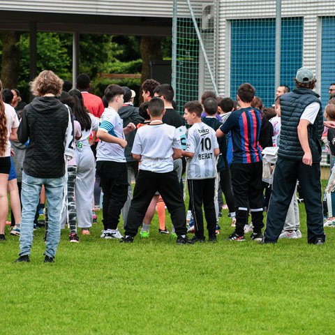 dsc 3768. Vergrösserte Ansicht
