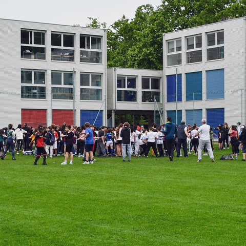 dsc 3770. Vergrösserte Ansicht