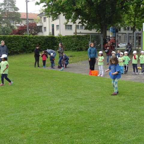DSC08441. Vergrösserte Ansicht