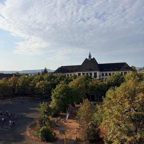 IMG 2801. Vergrösserte Ansicht
