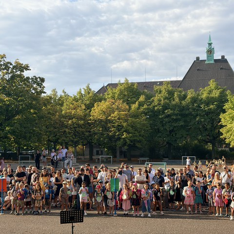IMG 2815. Vergrösserte Ansicht