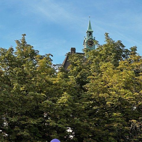 IMG 2323. Vergrösserte Ansicht