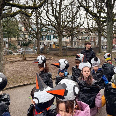 IMG 1399. Vergrösserte Ansicht