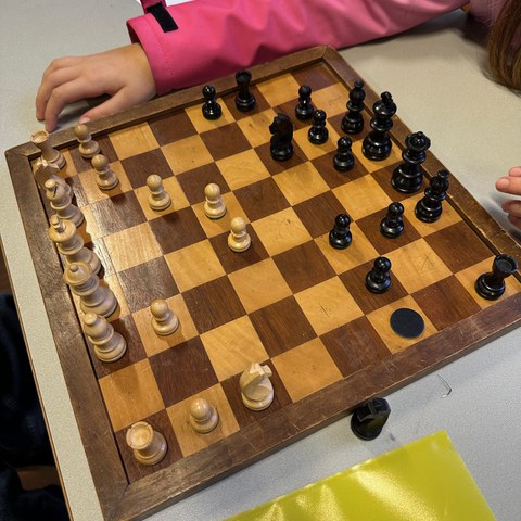 IMG 3423. Vergrösserte Ansicht