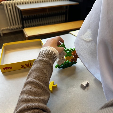 IMG 3470. Vergrösserte Ansicht