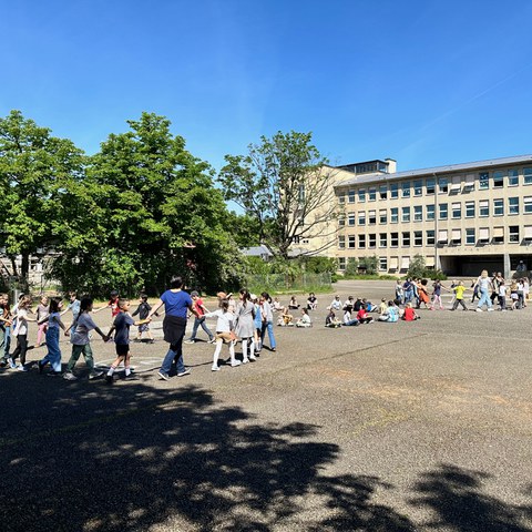 IMG 0710. Vergrösserte Ansicht