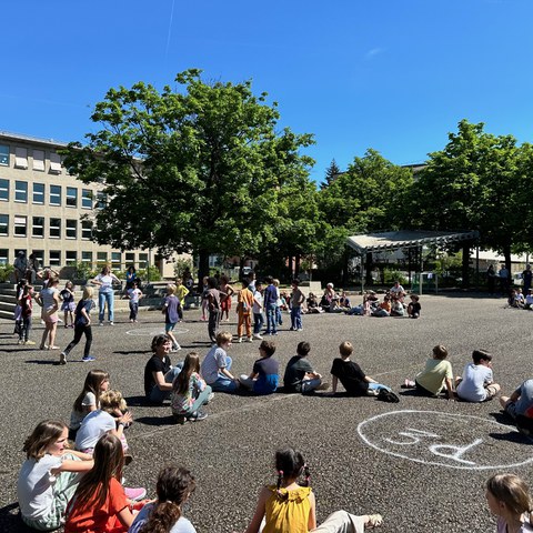 IMG 0728. Vergrösserte Ansicht