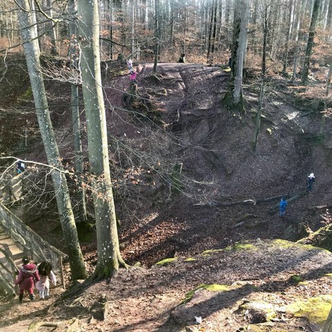 Waldmorgen im Roten Graben in Riehen. Vergrösserte Ansicht