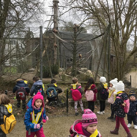 Tierpark Lange Erlen. Vergrösserte Ansicht