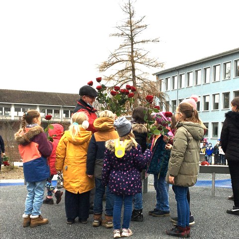 IMG 0004. Vergrösserte Ansicht