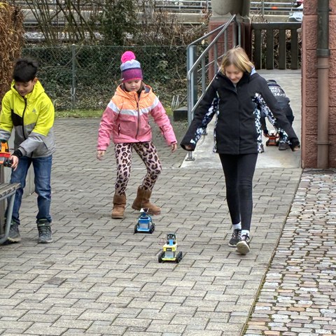 IMG 3326. Vergrösserte Ansicht