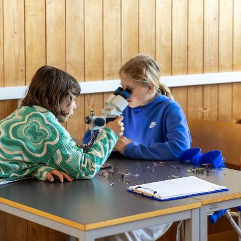 PSC SchuleKW16 26 71. Vergrösserte Ansicht