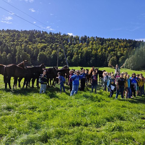 IMG 20250917 WA0012. Vergrösserte Ansicht