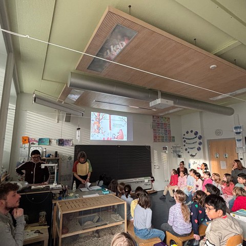 IMG 4015. Vergrösserte Ansicht