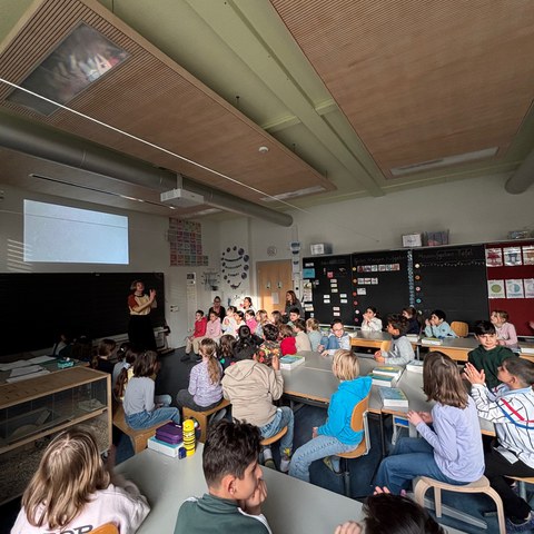 IMG 4017. Vergrösserte Ansicht