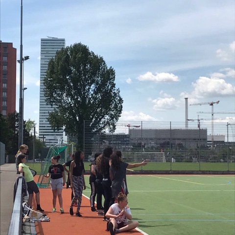 IMG 3186