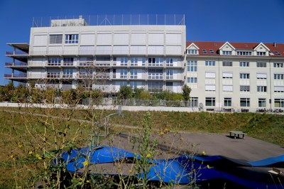 IMG 9920
