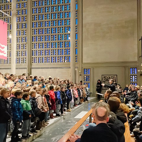 IMG 0700. Vergrösserte Ansicht