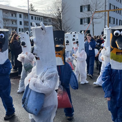 IMG 2268. Vergrösserte Ansicht