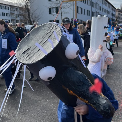 IMG 2269. Vergrösserte Ansicht