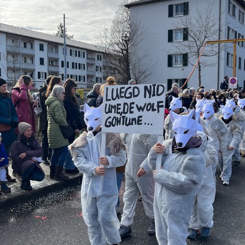 IMG 2276. Vergrösserte Ansicht