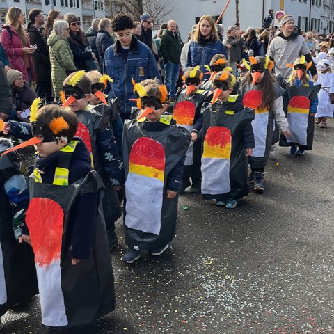 IMG 2279. Vergrösserte Ansicht