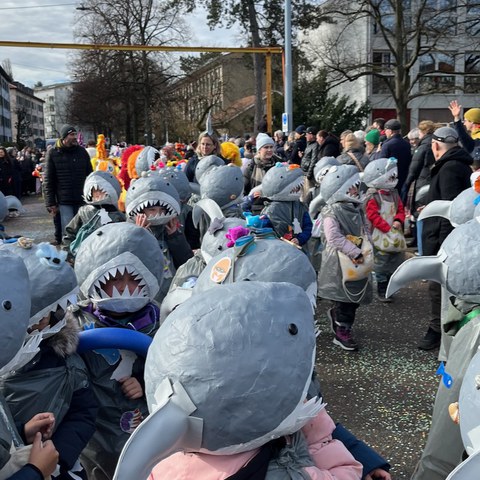IMG 2298. Vergrösserte Ansicht