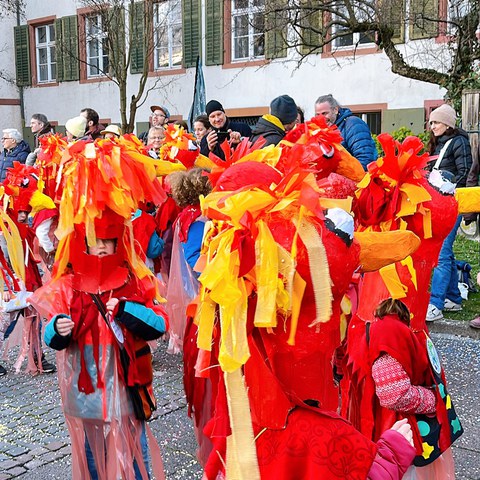 bsfidi. Vergrösserte Ansicht