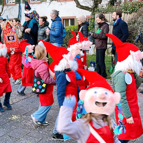 bsfidi2. Vergrösserte Ansicht