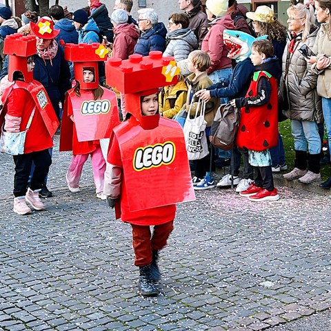 bsfidi5. Vergrösserte Ansicht