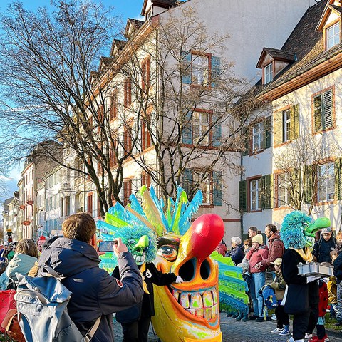 bsfidi6. Vergrösserte Ansicht