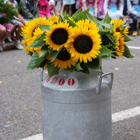 Erster Schultag (2018.08.13 08.56.40). Vergrösserte Ansicht