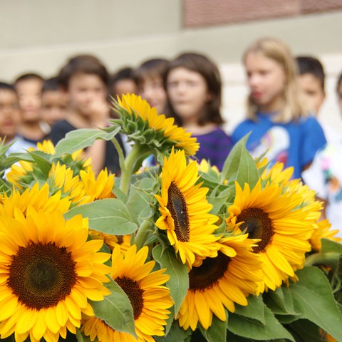 Erster Schultag (2020.08.10) 07. Vergrösserte Ansicht