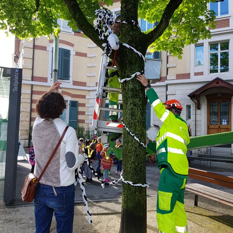 20210512 091818 1. Vergrösserte Ansicht