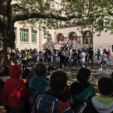 image1. Vergrösserte Ansicht