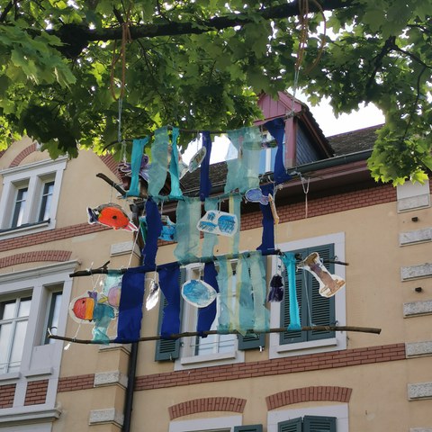 IMG 20210512 090644. Vergrösserte Ansicht