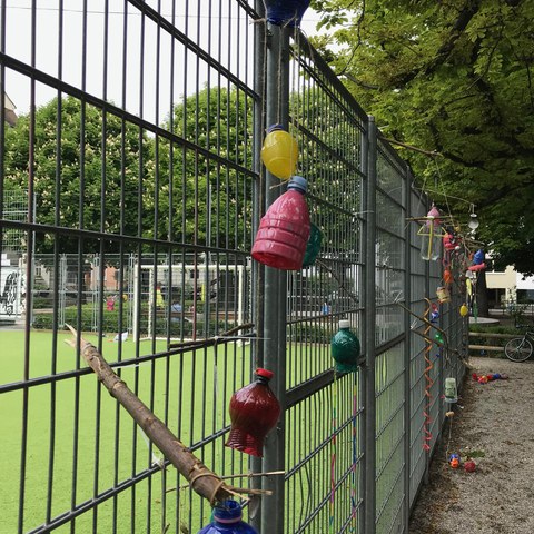 IMG 2362. Vergrösserte Ansicht