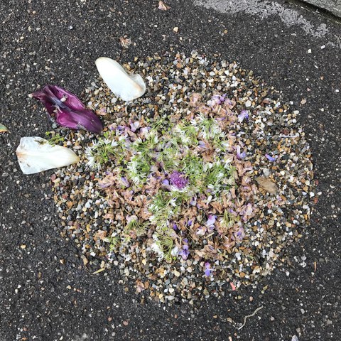 IMG 2374. Vergrösserte Ansicht