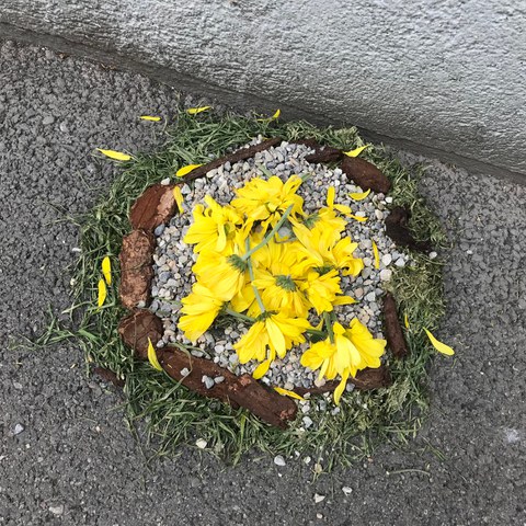 IMG 2385. Vergrösserte Ansicht