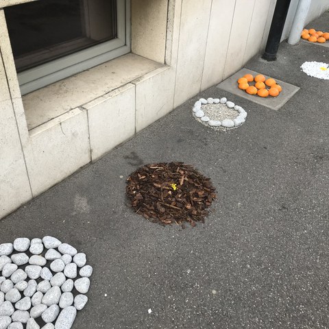 IMG 2396. Vergrösserte Ansicht