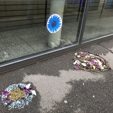 IMG 2398. Vergrösserte Ansicht