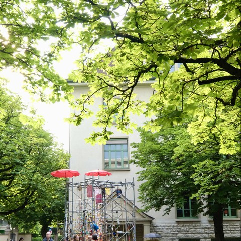  DSF5625. Vergrösserte Ansicht