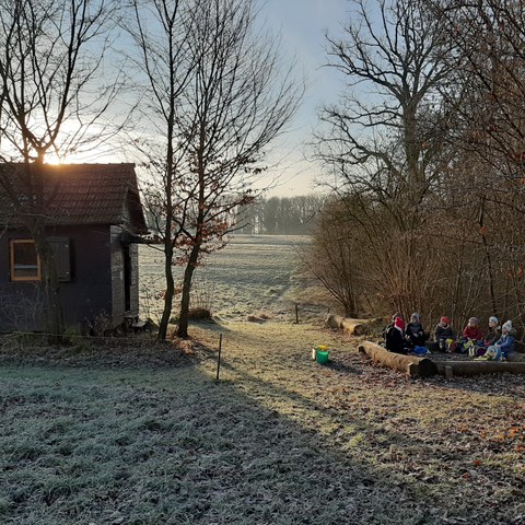 Waldfoto 2. Vergrösserte Ansicht
